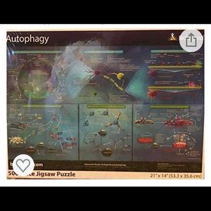 Autophagy 500 Piece Jigsaw Puzzle